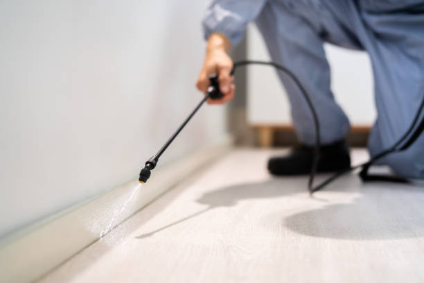 Certified termite inspector examining foundation in Madisonville