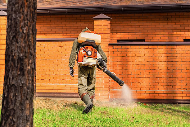 Top rated local Mosquito Control specialists in Madisonville, KY